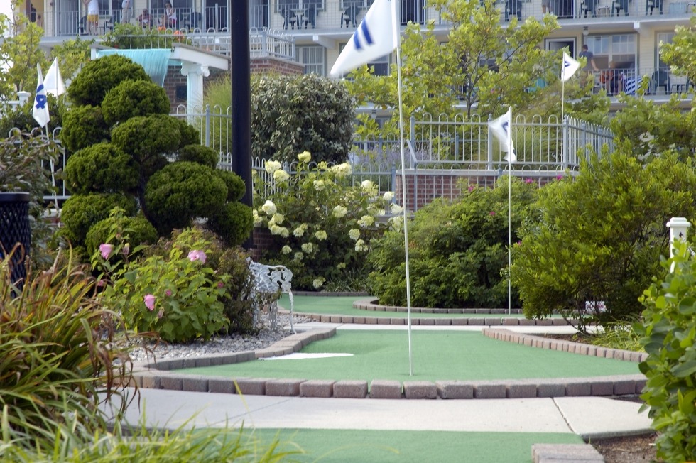 miniature golf hole with bushes and flowers surrounding it