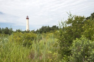Cape May Lighthouse, New Jersey, USA